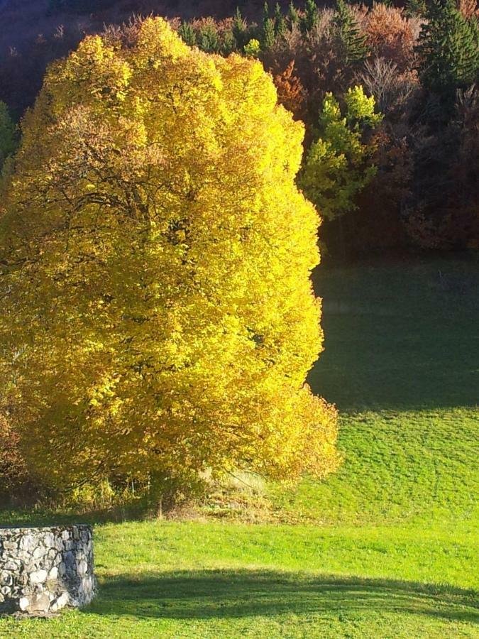 Le Relais Du Tilleul Chevenoz Luaran gambar